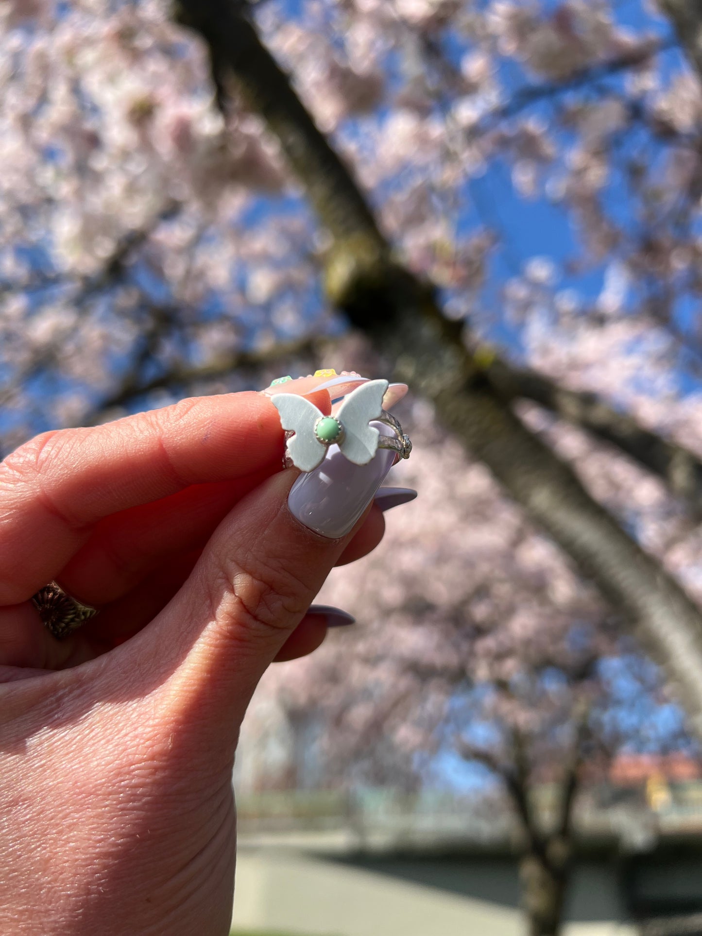 Butterfly Variscite Ring